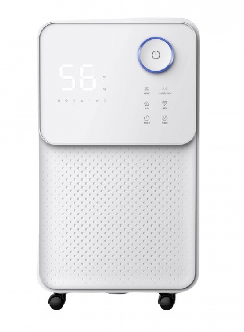 5 Cele mai Bune Dezumidificatoare în 2025