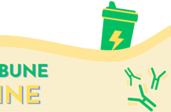 cele mai bune proteine